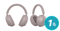 SONY WH-1000XM5